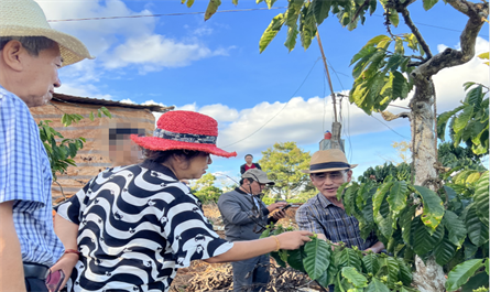 Visit and guide a coffee plantation in Hanoi Vietnam